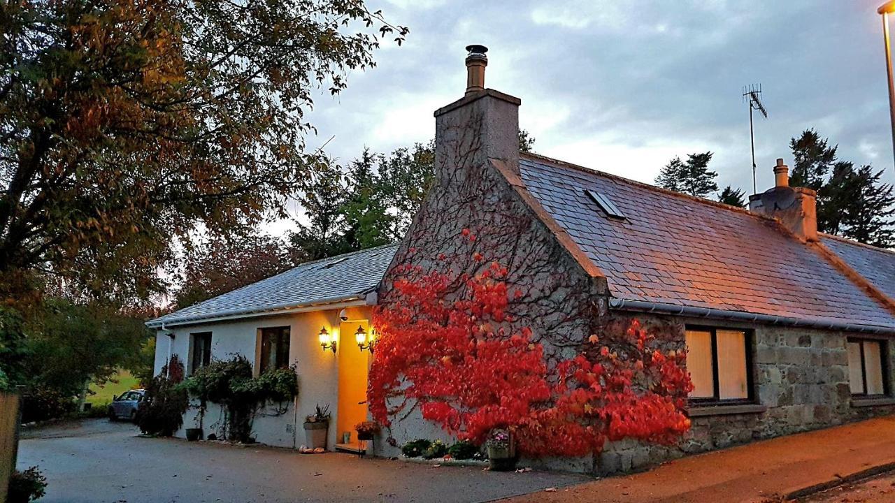 Lilyoak B&B & Self Catering Apartment Insch Exteriör bild